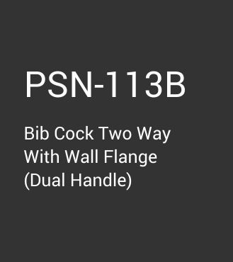 PSN-113B