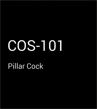 COS-101