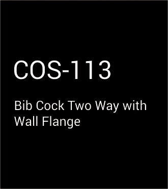 COS-113