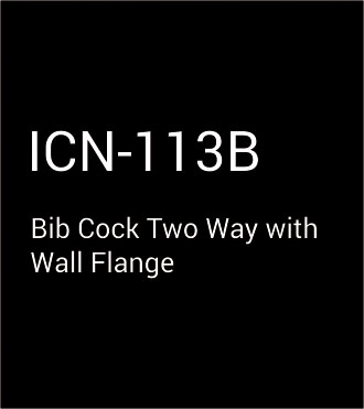 ICN-113B