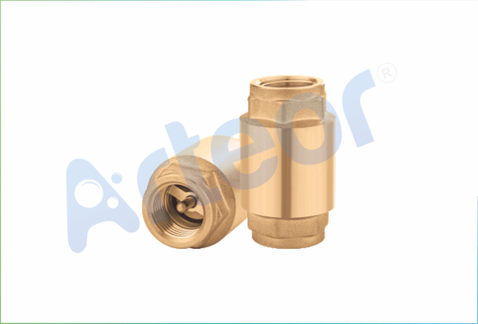 Check Valves