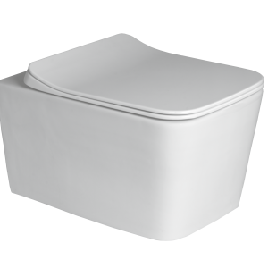 Wall Hung Toilet