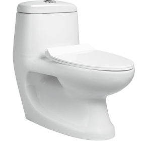 OPT-170021 Coral - One Piece Toilet