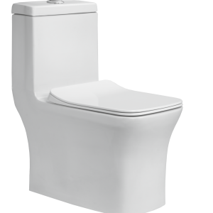 OPT-170181 Aspire - One Piece Toilet