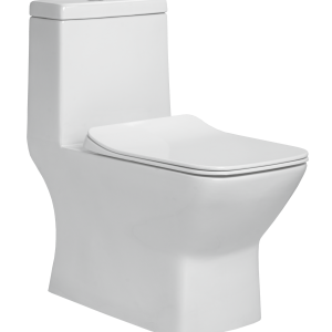 OPT-170191 Legend - One Piece Toilet