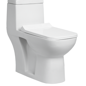OPT-170221 Titan - One Piece Toilet