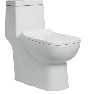 One Piece Toilet
