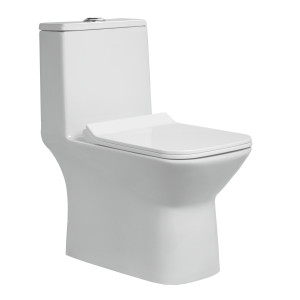 OPT-170301 Fortune - One Piece Toilet
