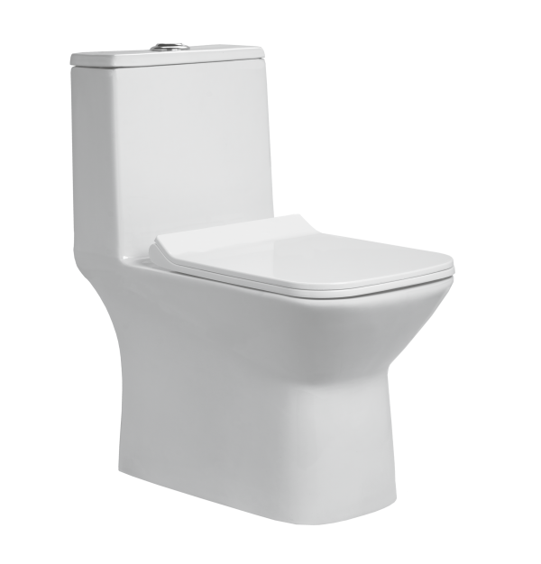 OPT-170301 Fortune - One Piece Toilet
