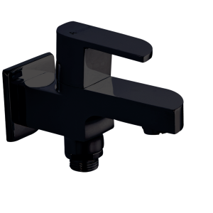 ALX-113 Bib Cock Two Way with Wall Flange(PVD)