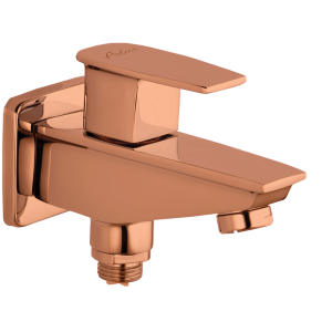 FOR-113 Bib Cock Two Way with Wall Flange(PVD)