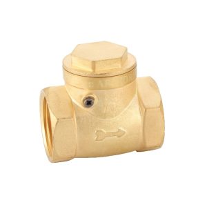 Horizontal Check Valve