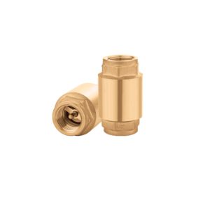 Vertical Check Valve
