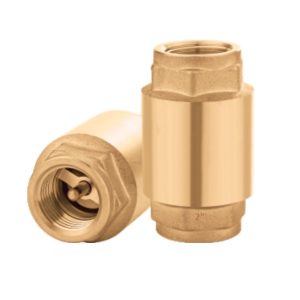 VCV-106 2" Vertical Check Valve