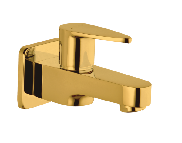 VGR-111 Bib Cock with Wall Flange(PVD)