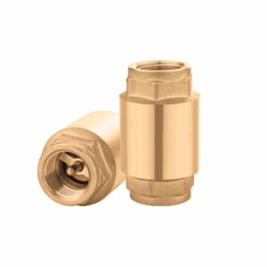 Check Valves